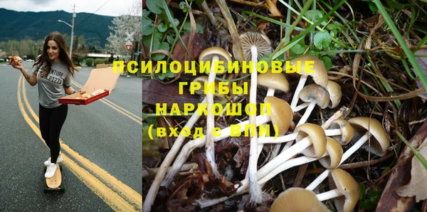 прущая мука Аркадак